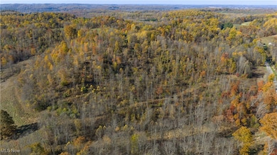 9204 Sandyville Rd NE, Mineral City, OH 44656 - photo 5