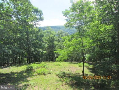 77 Buck Hollow Ct, Great Cacapon, WV 25422 - photo 3