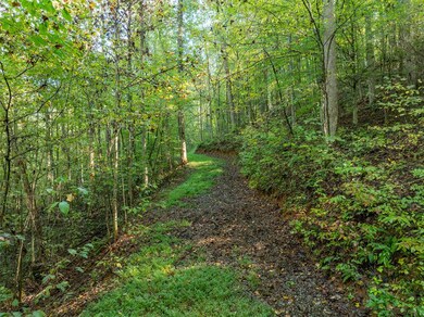 Lot 18 Wilderness Way, Ellijay, GA 30536 - photo 6