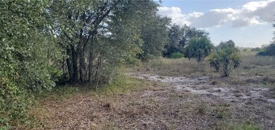 23650 Linda Lee Way, Fort Myers, FL 33913 - photo 2