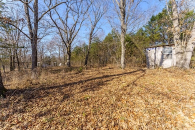 000 Boulder Dr, Williams Township, MO 65681 - photo 5