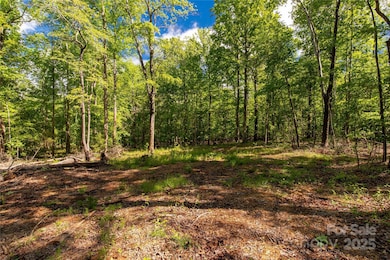 5212 Star Magnolia Ct, Clover, SC 29710 - photo 5