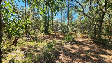 3659 W Lappula Ln, Citrus Springs, FL 34433 - photo 7