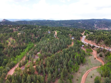 68 Horseshoe Dr, Divide, CO 80814 - photo 3