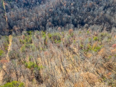 0 Eden Ridge Rd, Reedsville, OH 45772 - photo 5