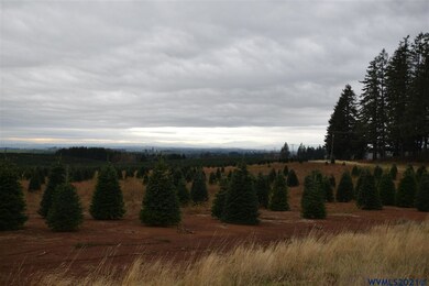 1501 Drift Creek Rd SE, Sublimity, OR 97385 - photo 5