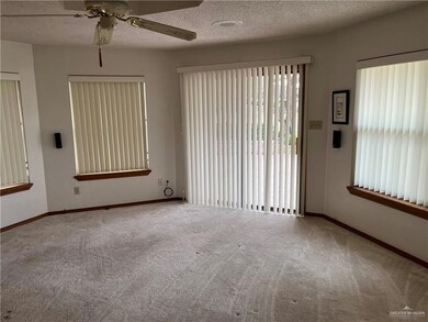 841 Palm Dr, Alamo, TX 78516 - photo 4