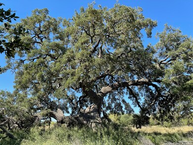 970 Newman Rd, Poteet, TX 78065 - photo 6