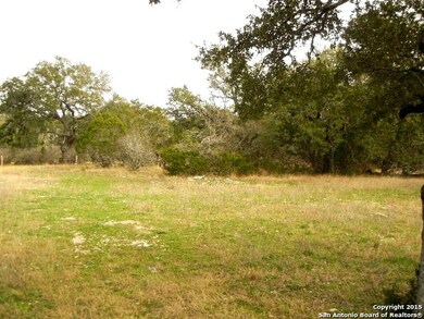 LOT1 BLOCK3 River Water, Spring Branch, TX 78070 - photo 5