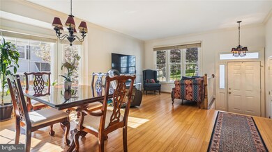 3643 Ransom Place, Alexandria, VA 22306 - photo 6