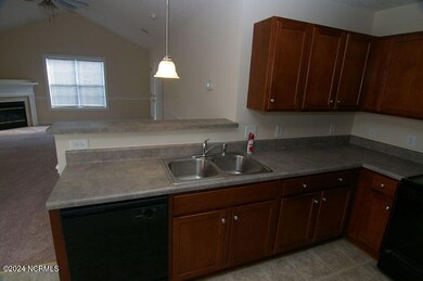2560 Saddleback Dr unit B, Winterville, NC 28590 - photo 6