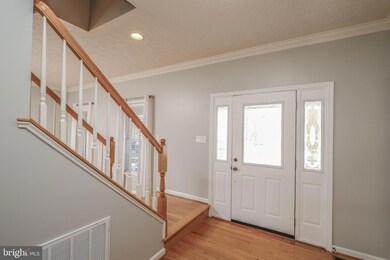 317 Clydesdale Dr, Stephens City, VA 22655 - photo 5