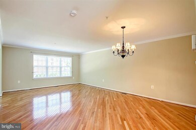 4601 Sherwood Mills Rd, Owings Mills, MD 21117 - photo 6