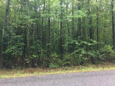 Lot A New Rd, Scarborough, ME 04074 - photo 2