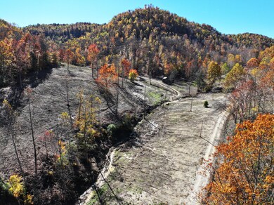 9997 Little Doe Creek Rd, Irvine, KY 40336 - photo 7