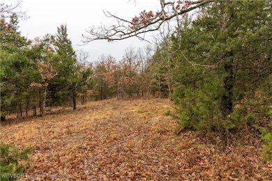 001 Bent Oak Trail, Greenwood, AR 72936 - photo 7