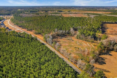 19.09 Acs Cates Bay Hwy unit Lot 11, Conway, SC 29527 - photo 7