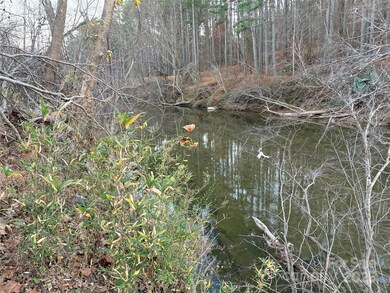 0 Polk County Line Rd unit CAR4322690, Rutherfordton, NC 28139 - photo 4