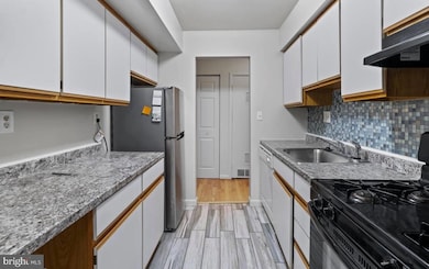 1 Windblown Ct unit 203, Baltimore, MD 21209 - photo 7