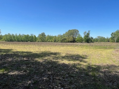 27 ACRES Sycamore Rd, Collierville, TN 38017 - photo 5