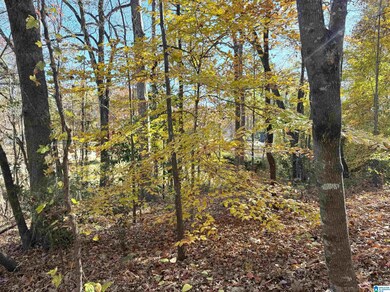 0 Cauthen Cir unit Lot 12 21404430, Roanoke, AL 36274 - photo 3