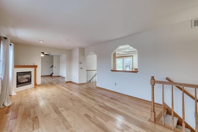 Living Room Gas Fire Place