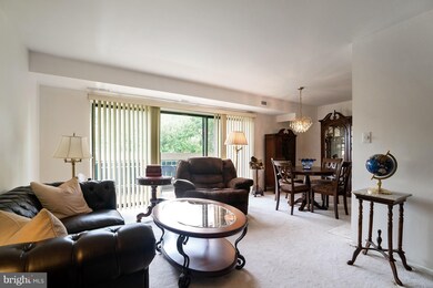 6139 Leesburg Pike unit 607, Baileys Crossroads, VA 22041 - photo 4