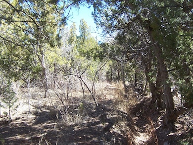 9 Camino de La Ciruela, Placitas, NM 87043 - photo 4