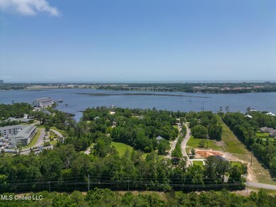 Savannah-4
