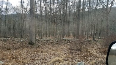 0 Riverview Dr, Lackawaxen Township, PA 18435 - photo 3