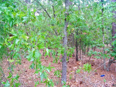 Lot at Front
