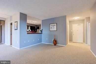 Skyline Plaza unit 116N, Baileys Crossroads, VA 22041 - photo 3