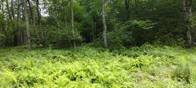 IMG_20230727_114310234