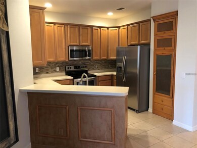 140 Shell Falls Dr, Apollo Beach, FL 33572 - photo 4