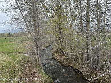 IMG_8712