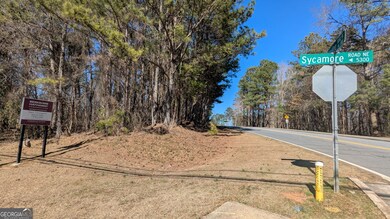 5305 Sycamore Rd, Sugar Hill, GA 30518 - photo 6