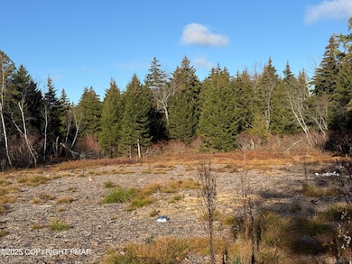 12 Laurel View Ln, Coolbaugh Township, PA 18466 - photo 2