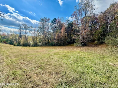 11537 Yarnell Rd, Knoxville, TN 37932 - photo 3