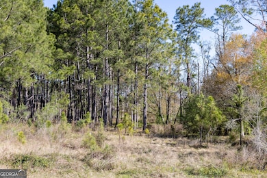 0 Lost Rd, Arabi, GA 31712 - photo 5