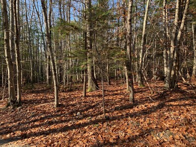 Lot 18 Old Cluff Rd, Kennebunkport, ME 04046 - photo 6