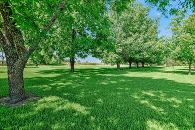 905 Crawford Rd, Sadler, TX 76264 - photo 6