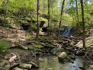 000 Spring Rd, Searcy, AR 72143 - photo 5