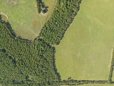 1440 County Road 2100, Cooper, TX 75432 - photo 3