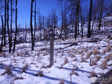 0 Davis Ranch Rd unit 784426, Bellvue, CO 80512 - photo 3