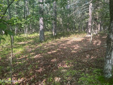 693 Club House Dr, Lackawaxen Township, PA 18428 - photo 6