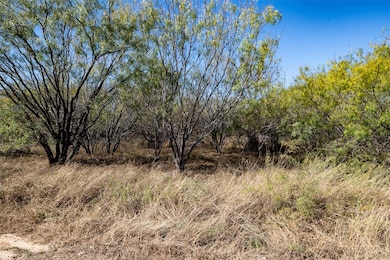 Lot 194 Grand Harbor Blvd, Chico, TX 76431 - photo 3