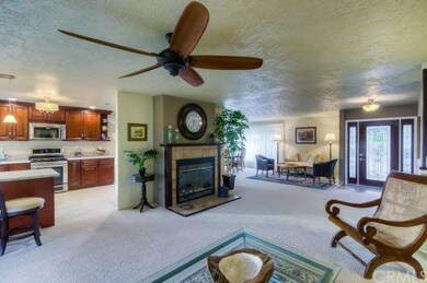 Wood burning Fireplace