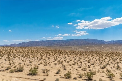 67800 Raymond Dr, Twentynine Palms, CA 92277 - photo 2