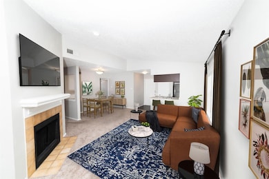 8301 Boat Club Rd unit 811, Fort Worth, TX 76179 - photo 7