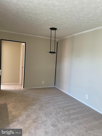 3708 N Rosser St unit 103, Alexandria, VA 22311 - photo 7